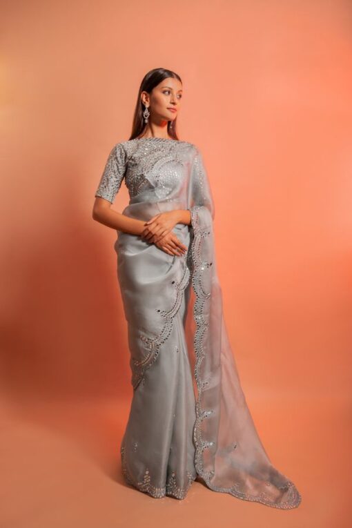 Beautiful Soft Organza Embroidery saree with Real Mirror Work.